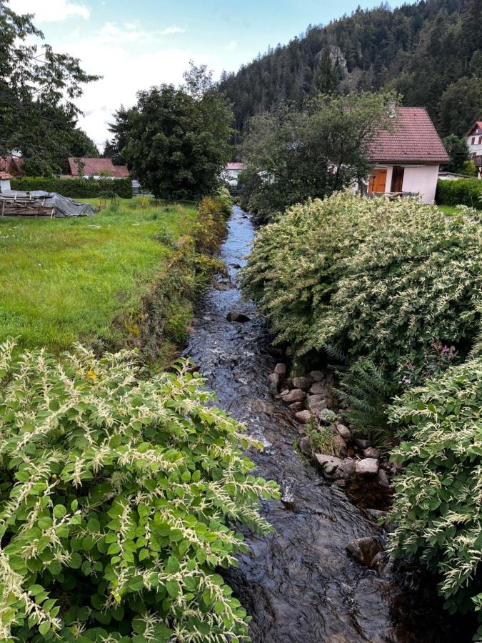 Les Ateliers Villa Gérardmer Exteriör bild